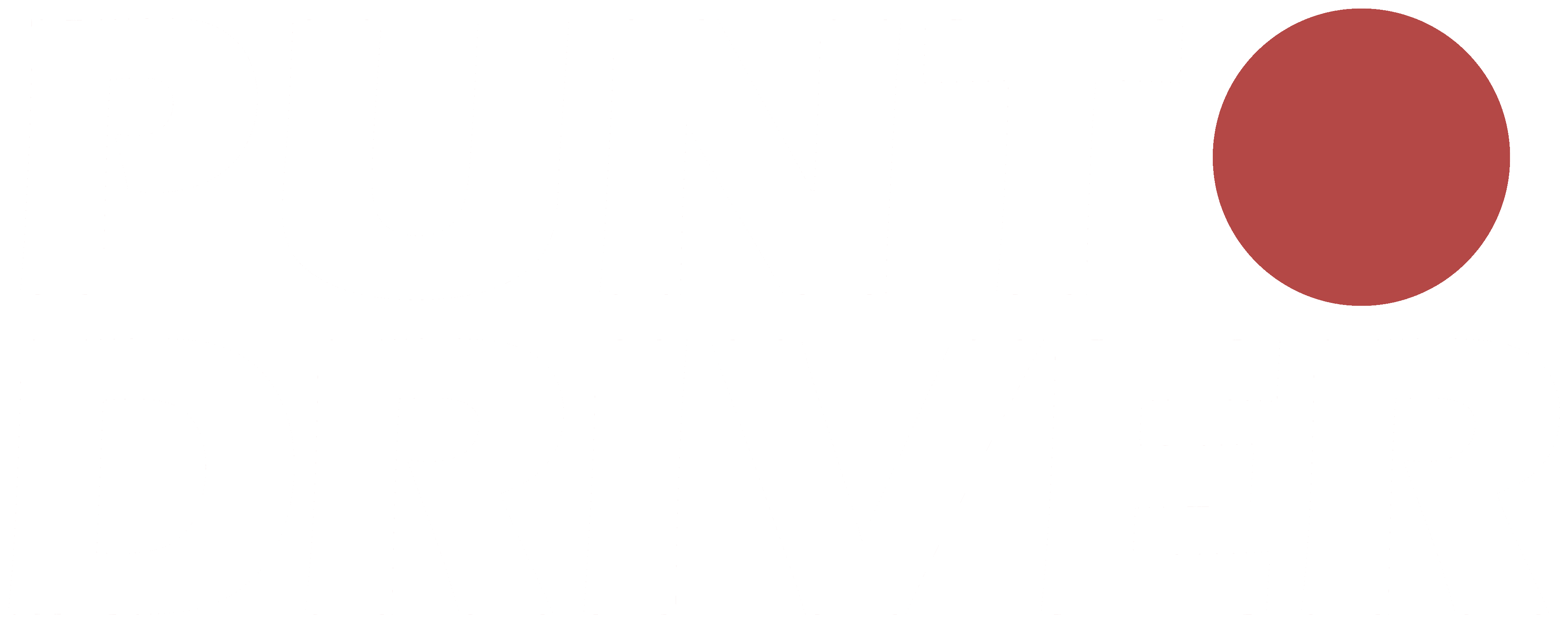 Punto Driver